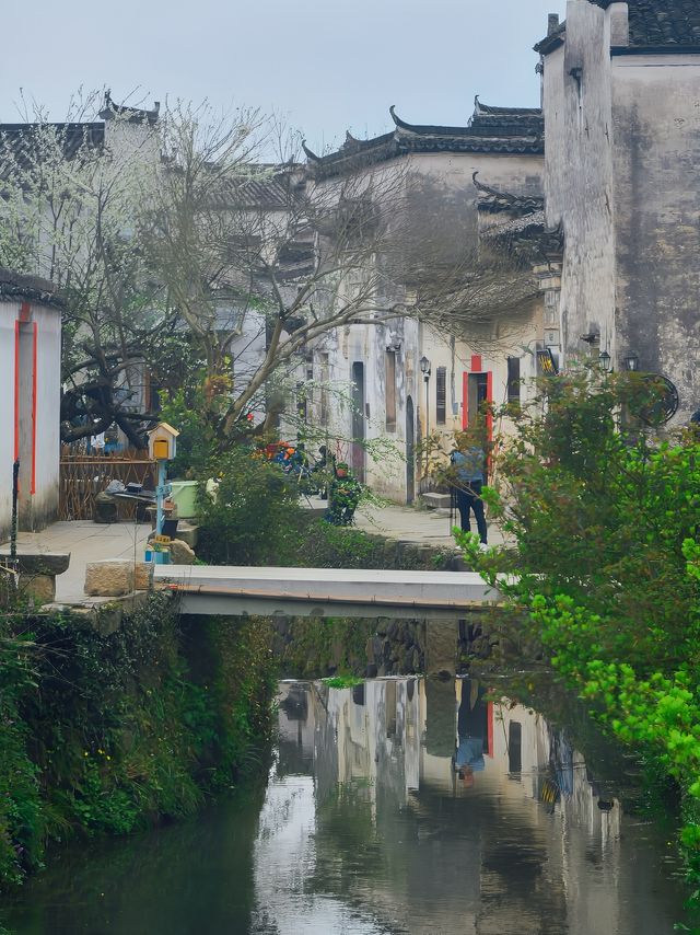 一條路線看遍屏山村