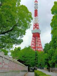 Shiba Park Tokyo 🇯🇵