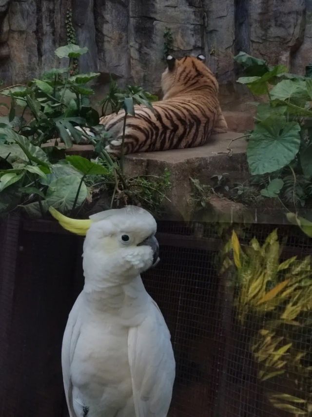 春天裡，和動物約會吧