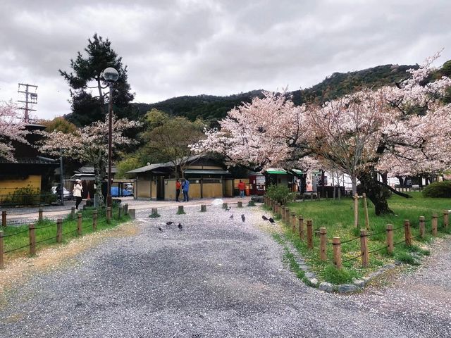 以前是陳奕迅歌中的富士山下，現在近在咫尺