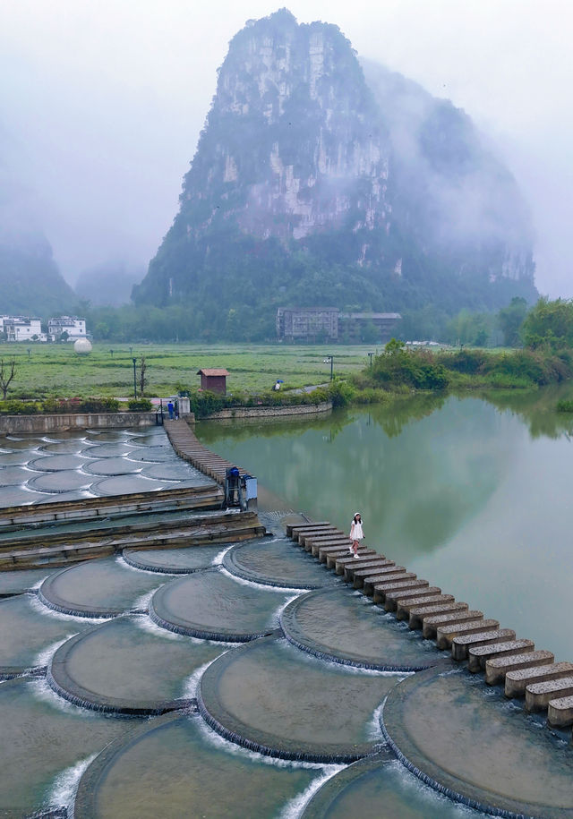 崇左明仕田園 | 被嚴重低估的小眾旅行地