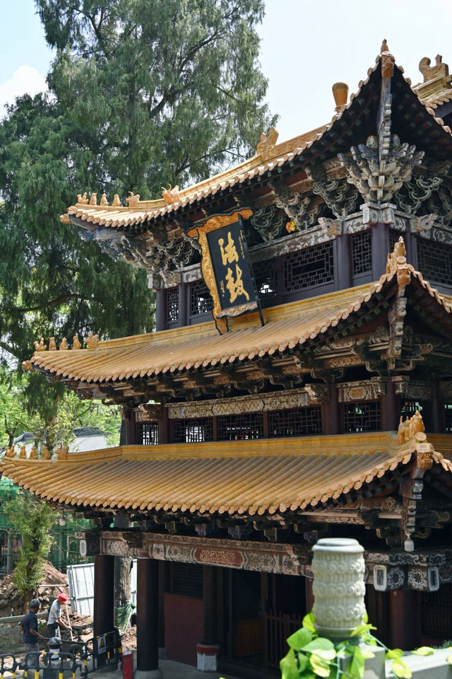 遂寧｜只見寺院不見山
