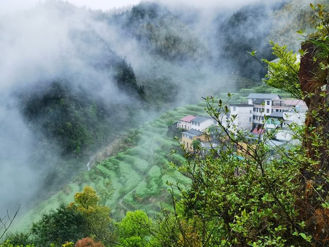 雲霧飄渺 仙氣十足 最美憶宿民宿