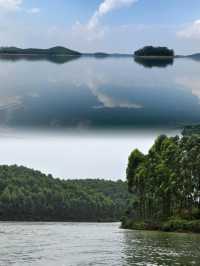 春天踏青去星島湖，看櫻花雨