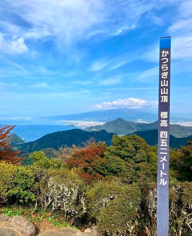 日本靜岡深度遊·飽覽富士山和駿河灣絕景