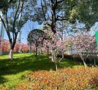 湖北荊門太子山國家森林公園‖荊門必打卡景點之一