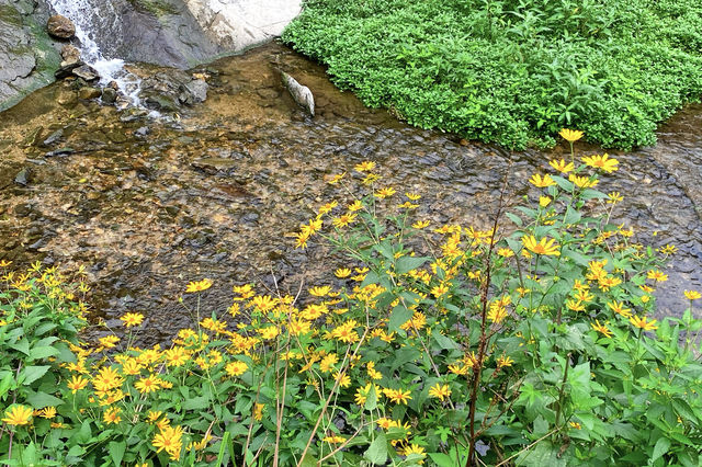探秘京郊秘境，水岸山吧度假村等你來