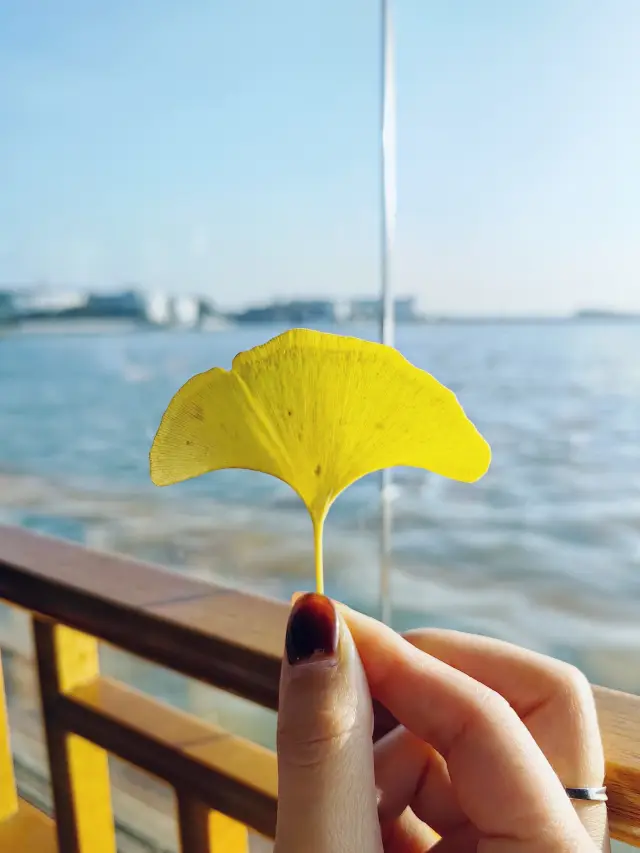Dream of Zhouzhuang