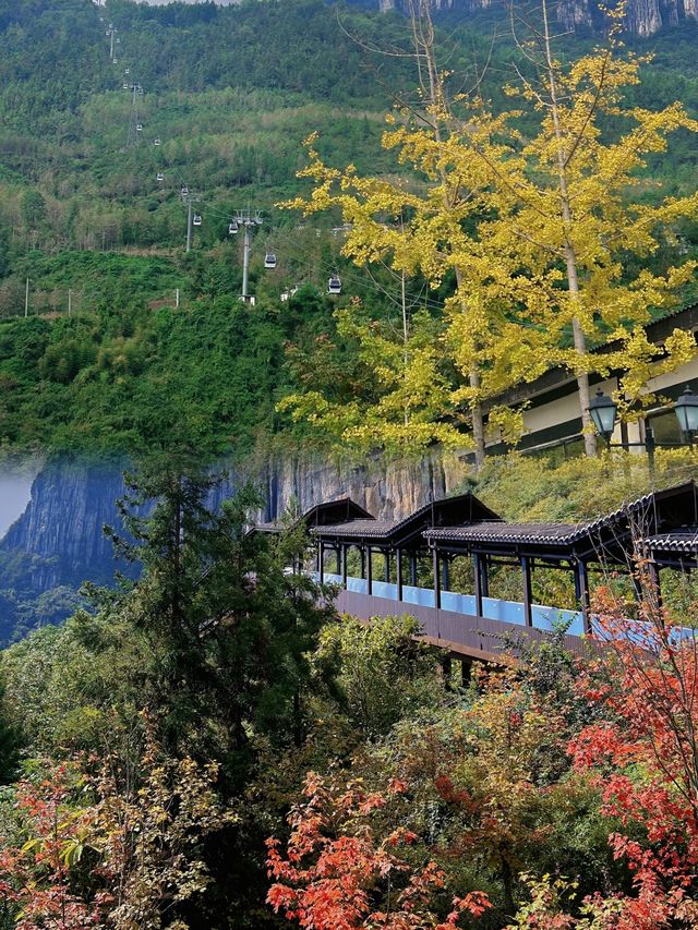 湖北恩施體驗戶外爬山天然氧吧的最好去處