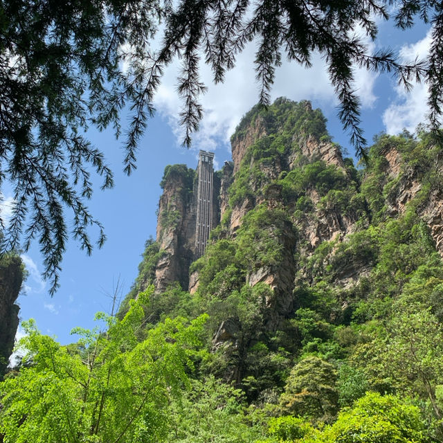 Conquering Heights with the Bailong Elevator 🌳⛰️ 