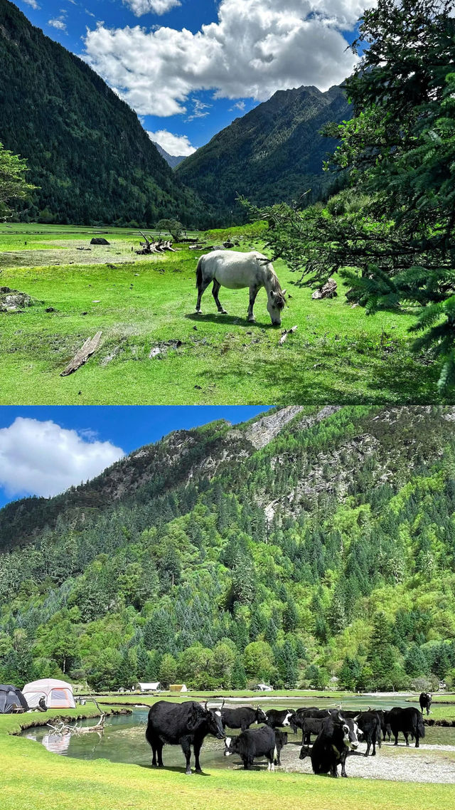 寶藍色的湖水，成群的牛羊，安靜的溪流，月亮湖你確定不來嗎？