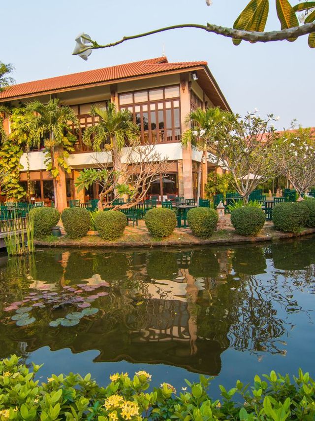 🌴 Siem Reap's Top Staycations: Luxury, Comfort & Views! 🏨✨