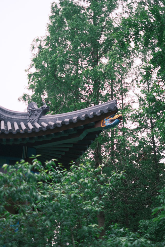 南京師範大學隨園校區，有著「東方最美麗的校園」之美譽