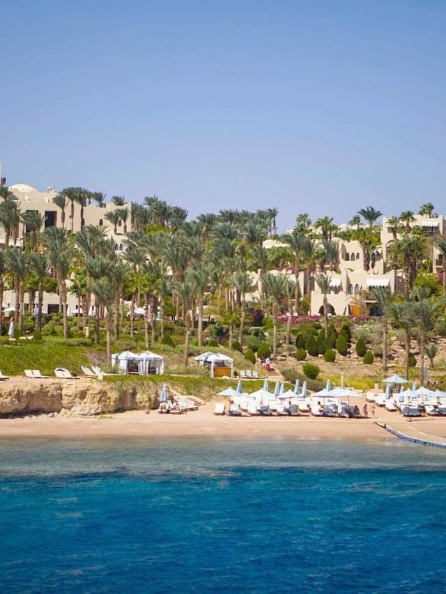 🌟 Sharm El Sheikh's Luxe Escape: Top Hotel Picks 🌴✨
