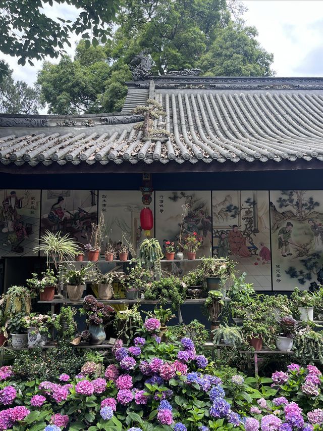 成都仙家重地！見到這隻鶴才算真正去過成都鶴鳴山