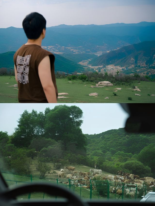 我在山西吕梁，找到了阿勒泰高仿！
