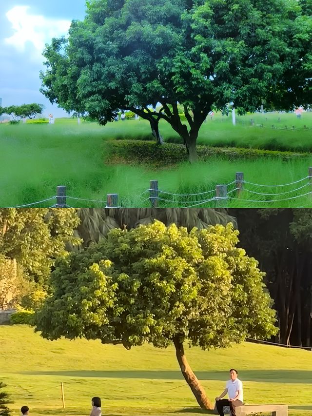 闖進宮崎駿的夏天深圳紅花山公園