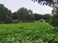 城市蓬萊：保定古蓮花池