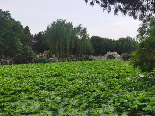 城市蓬萊：保定古蓮花池