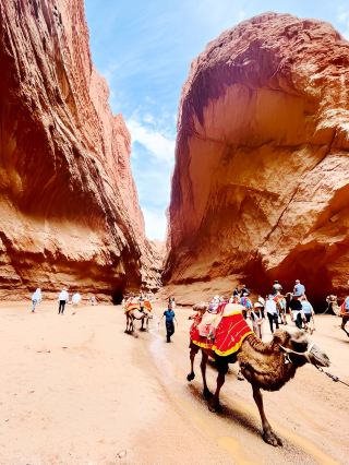 The landscape of the Yardang in Xinjiang is breathtaking