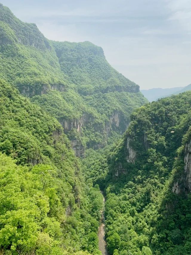 發現一個寶藏旅遊地～九路寨|打卡保康九路寨生態旅遊區