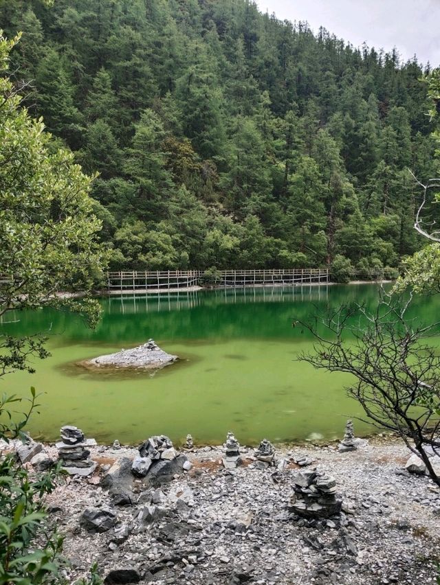 夏日的雾气朦胧，