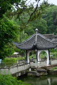 綿陽-這麼好看的公園你不宣傳，你糊塗啊！