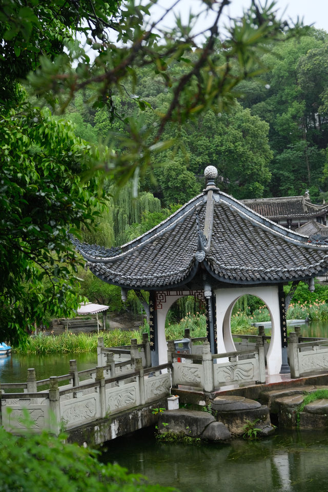 綿陽-這麼好看的公園你不宣傳，你糊塗啊！
