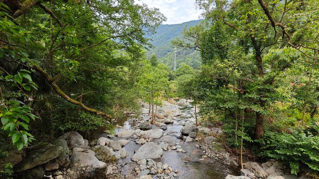 【東林生活】夏日行腳桃花源，瀑布飛瀉第一泉