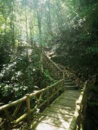 长沙周邊遊 | 株洲神龍谷森林公園