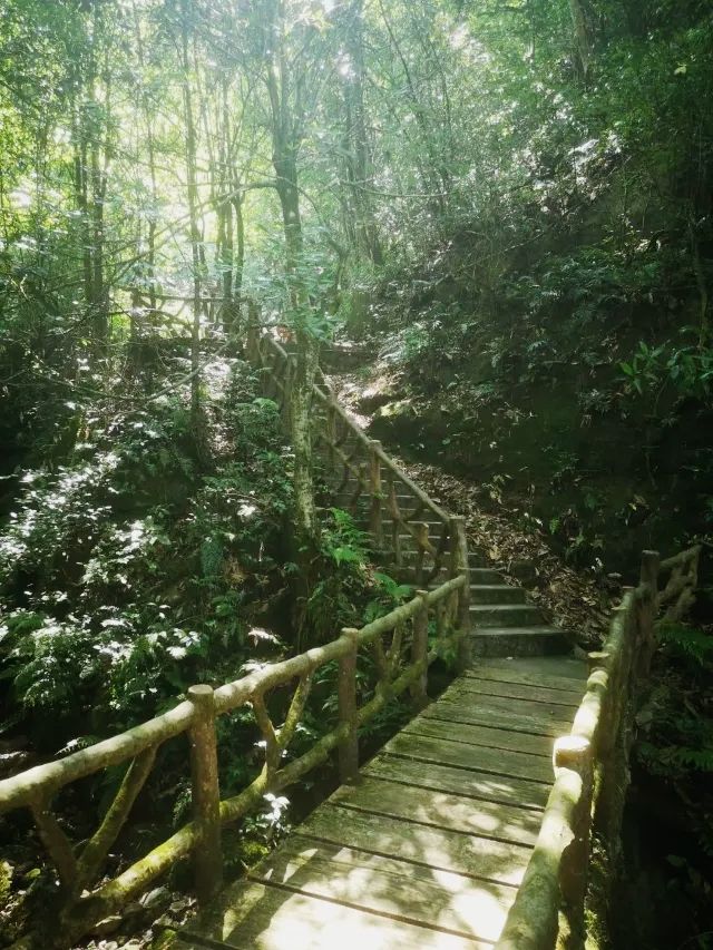 长沙周邊遊 | 株洲神龍谷森林公園
