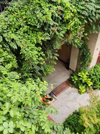 Guanzhong Harajuku - A B&B Worth Visiting Again and Again