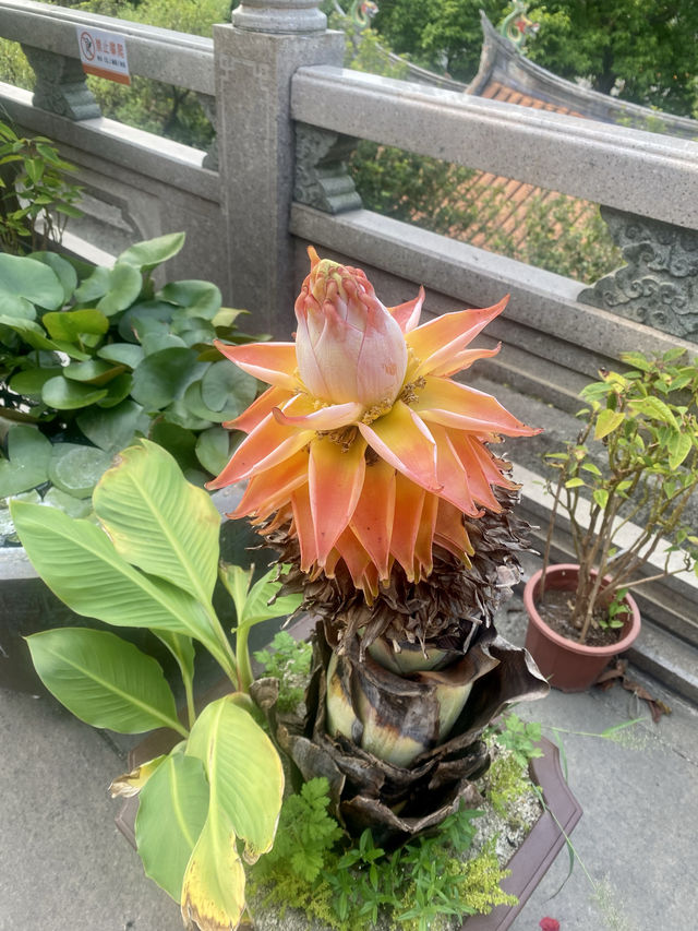 廈門石室禪院｜莫向外求，但從心覓