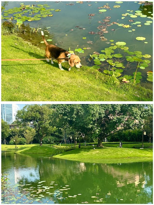 摩訶池公園，來了就不想走！