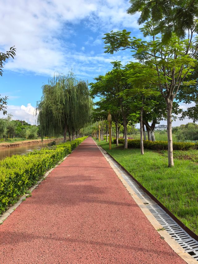 開遠鳳凰濕地公園