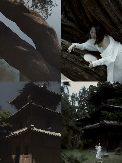 黑神話悟空》現實版打卡取景地景寧時思寺｜Trip.com 景寧