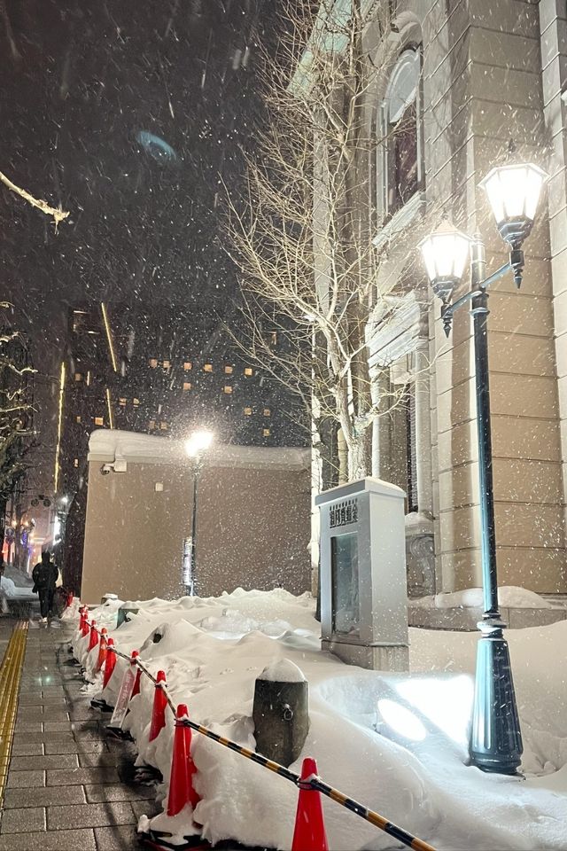 【北海道冬日奇遇】6天5晚，探索北國風光與城市繁華！