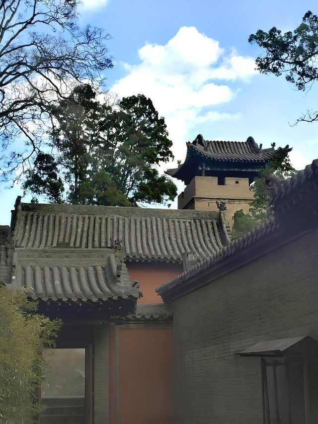 "卦山之柏，冠絕天下"，你怎麼看呢？