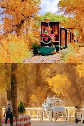 Next month's Populus euphratica forest in Xinjiang is undoubtedly the pinnacle of autumn scenery in China