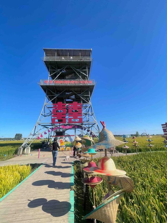 瀋陽市瀋北新區稻夢空間。