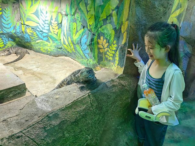 秦嶺野生動物園。