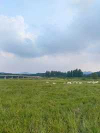 許昌附近不去可惜的免費露營地。