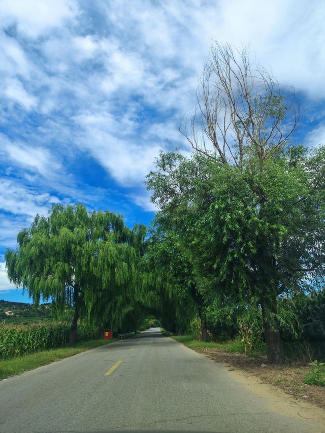 親近北鎮醫巫閭山。