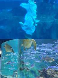 長沙海底世界。