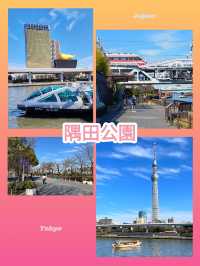 東京景點｜隅田公園：賞櫻與花火大會的勝地