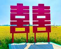 稻夢之境，田園奇景，一個不可以錯過的地方。