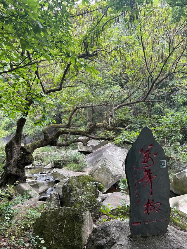 南陽龍潭溝旅遊攻略。