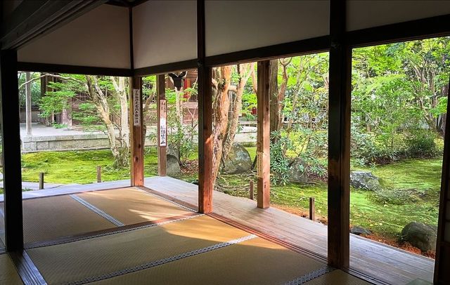 叡山電鐵「瑠璃光院」的途中可以去|蓮華寺。