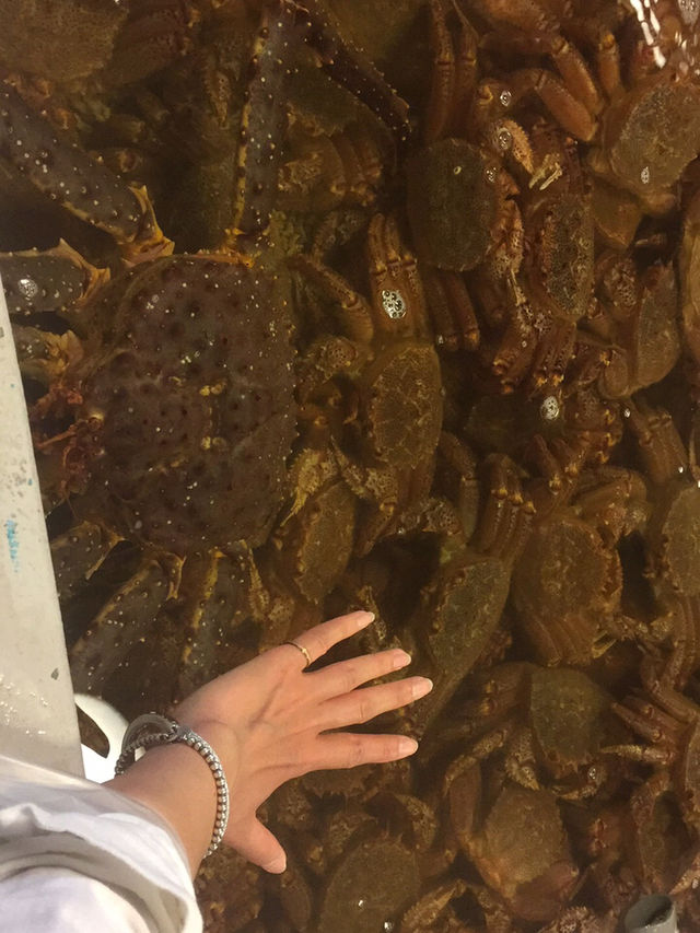 台北上引水產探秘之旅 🦀