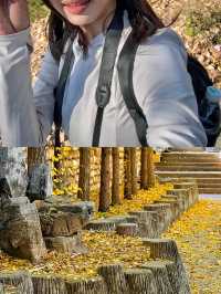 北京也有自己的那拉提，無需門票，可乘公交直達！